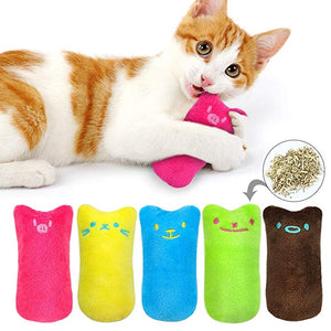 Cat Toy Kitten Chewing Kickers