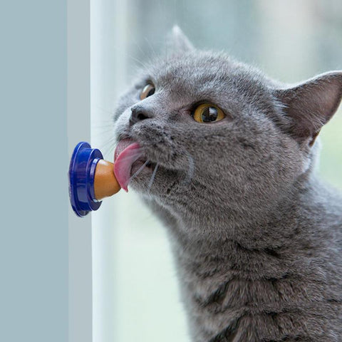 Image of Healthy Cat Snacks Catnip Sugar Licking Nutrition Gel Energy